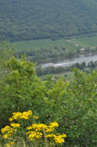 Aussicht vom Valwigerberg