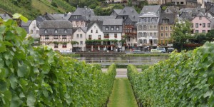 Weinberg