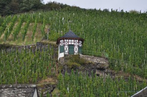 Kapelle im Weinberg
