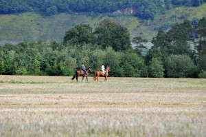 Reiter auf den Moselhöhen