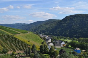 Erster Ausblick im Calmont