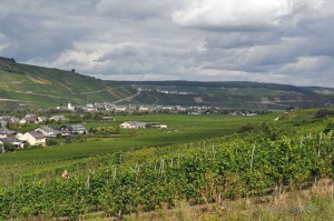 Weinberge bei Wintrich