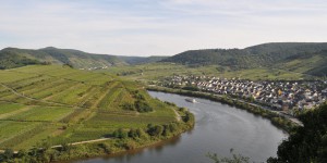 Aussicht vom Calmont