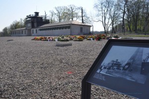 Buchenwald