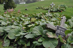 Ehemaliger Friedhof