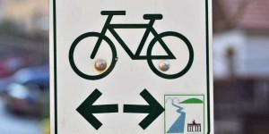 Elberadweg