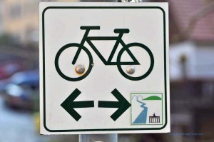 Elberadweg