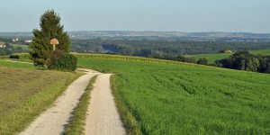 Wandern mit Donaublick