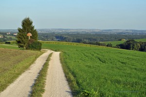 Wandern mit Donaublick