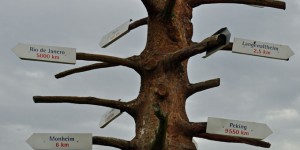 Schilderbaum bei Wittesheim
