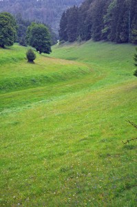 Das Roßtal bei Rögling
