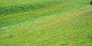 Das Roßtal bei Rögling
