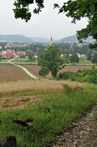 Blick auf Dietfurt