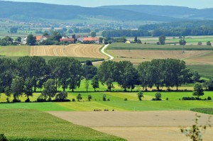 Landschaft im Altmühltal