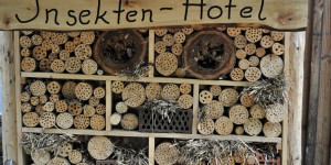 Insektenhotel