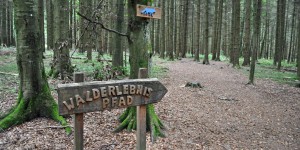 Walderlebnispfad