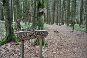 Walderlebnispfad