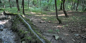 Naturschauspiel Steinerne Rinne