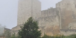 Pappenheimer Burg im Nebel