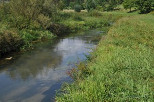 Im Tal der Laber