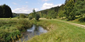 Im Tal der Laber