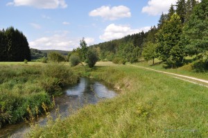Im Tal der Laber
