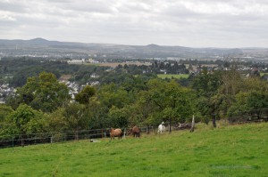 Aussicht bei Neuwied