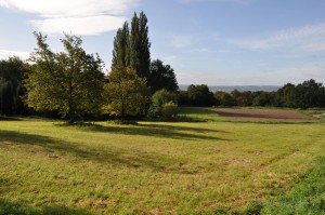 Landschaft bei Koblenz