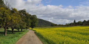 Wanderweg auf den Lahnhöhen