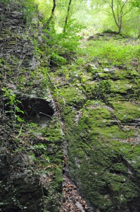 Wandern in der Ruppertsklamm