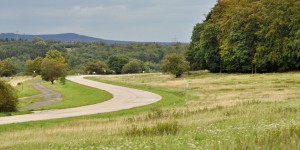 Alter Panzerweg auf der Horchheimer Höhe