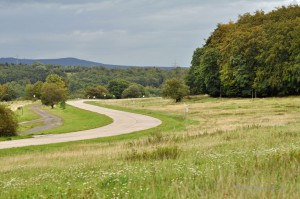 Alter Panzerweg auf der Horchheimer Höhe