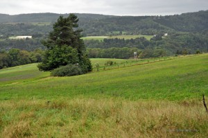 Landschaft bei Bad Ems