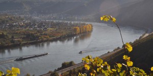 Rhein am Bopparder Hamm