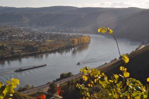 Rhein am Bopparder Hamm