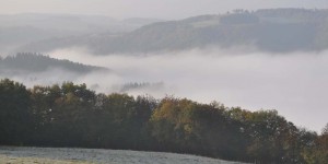 Nebel über der Mosel