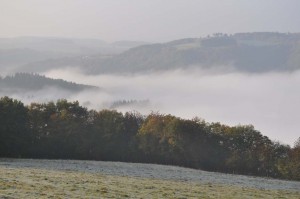 Nebel über der Mosel