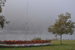 Moselufer in Hatzenport
