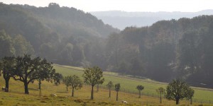 Landschaft der Vulkaneifel