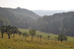 Landschaft der Vulkaneifel