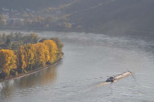 Rhein am Bopparder Hamm