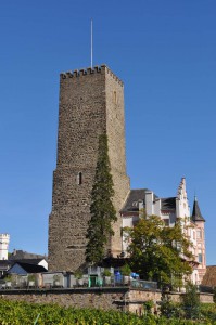 Burg in Rüdesheim