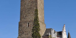 Burg in Rüdesheim