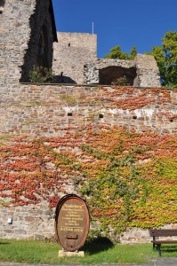 Wilder Wein an der Burgmauer
