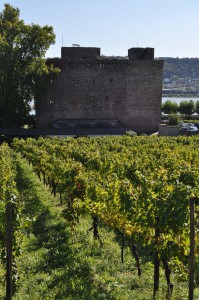 Brömserburg im Weinberg