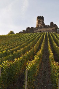 Burg Fürstenberg im Weinberg