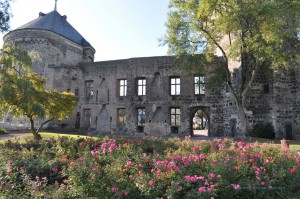 Burg Andernach