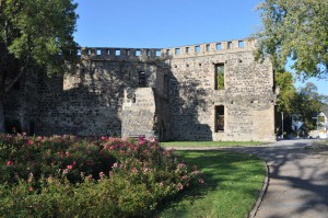 Burg Andernach