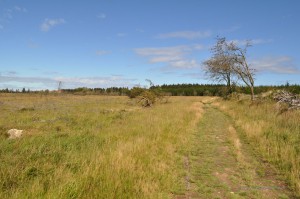 Vennlandschaft