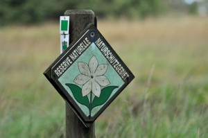 Naturschutz